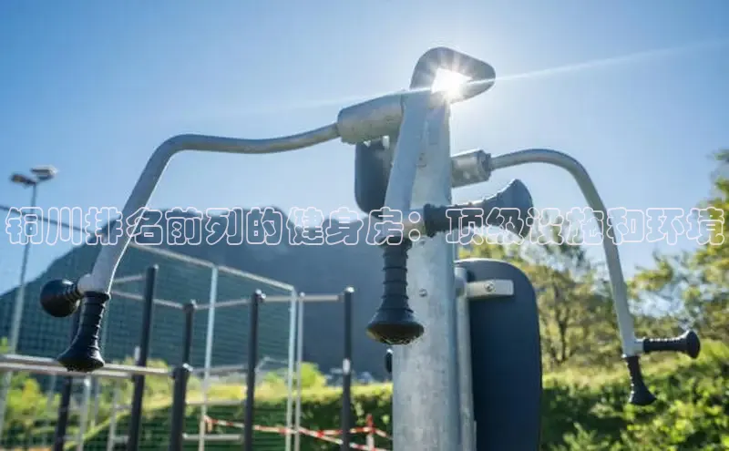 333体育平台网页版百度安全社区