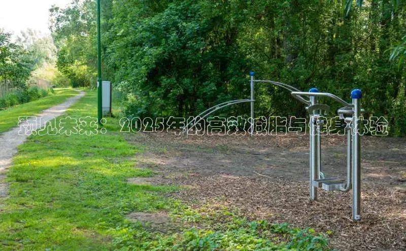 333体育官网下载