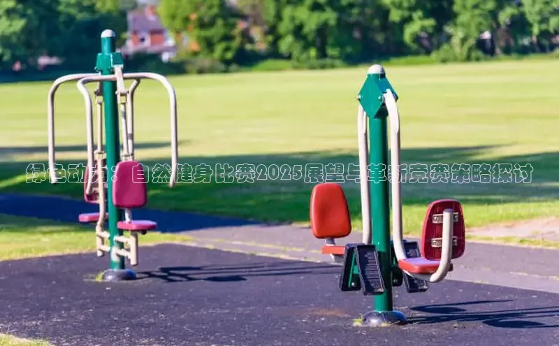 333体育官网入口