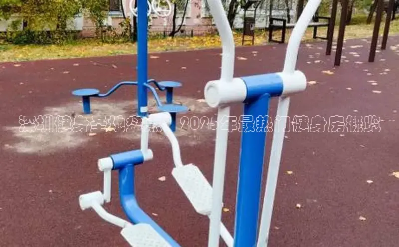 333体育网页登录