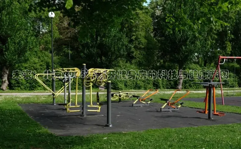 333体育官网app下载